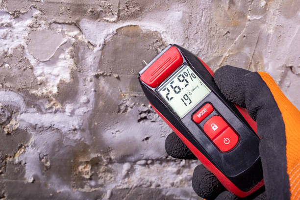 Best Asbestos and Lead Testing During Mold Inspection  in Hermiston, OR